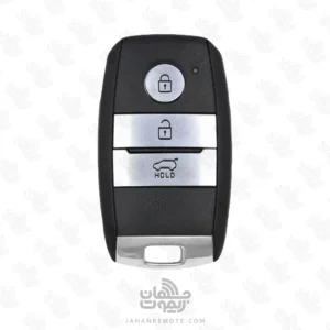 ریموت اسورتیج