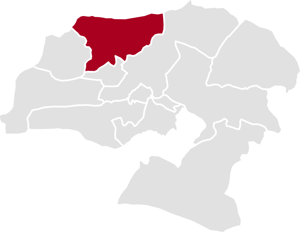 جهان ریموت، ساوجبلاغ