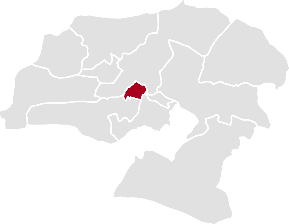 جهان ریموت، فردیس